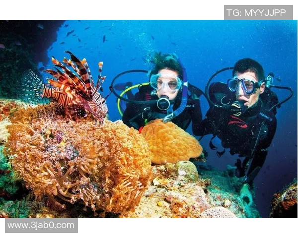 代表国内最高水平，我国潜水黄金联赛初次登陆洛克公园